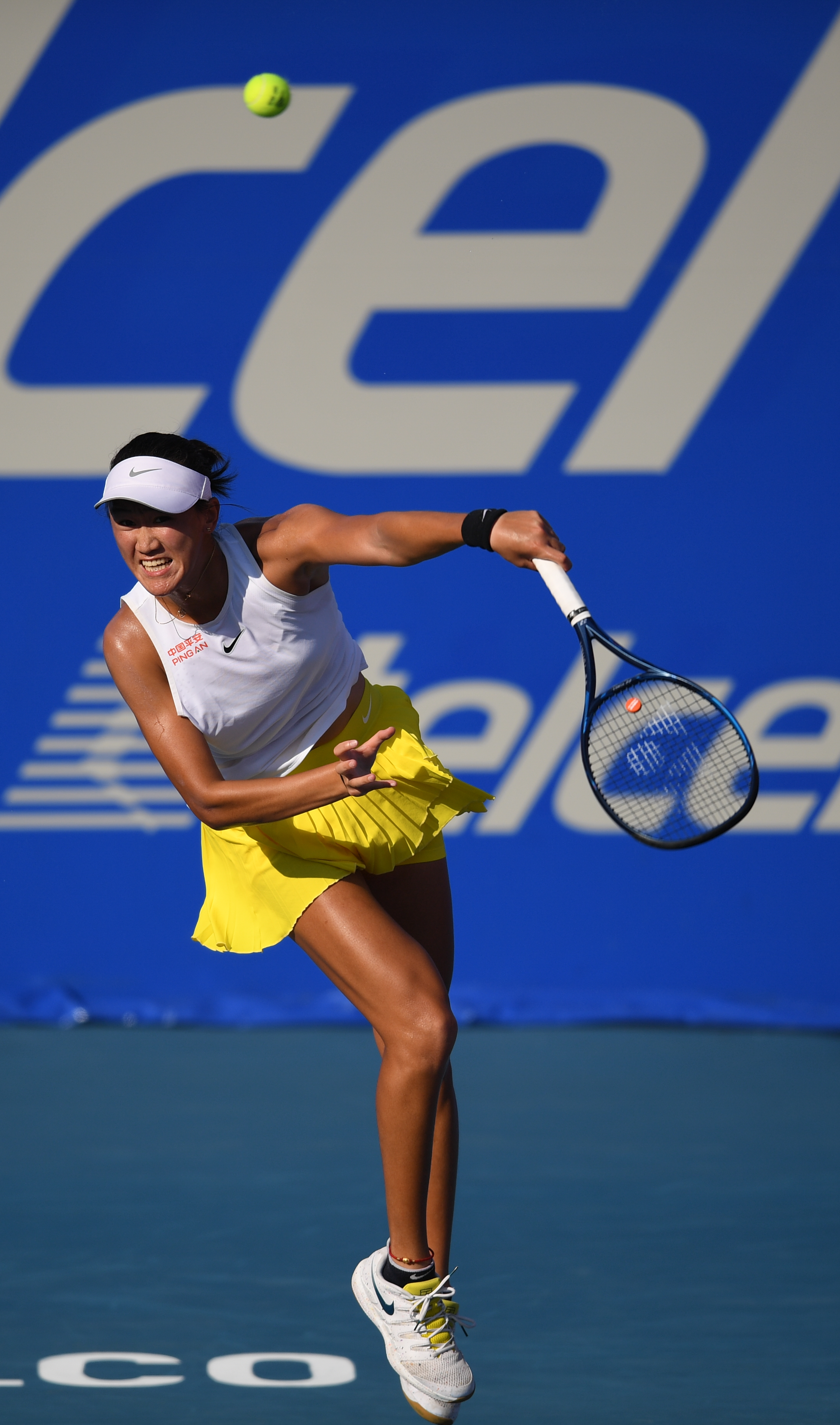 的哲学不仅 的哲学不仅