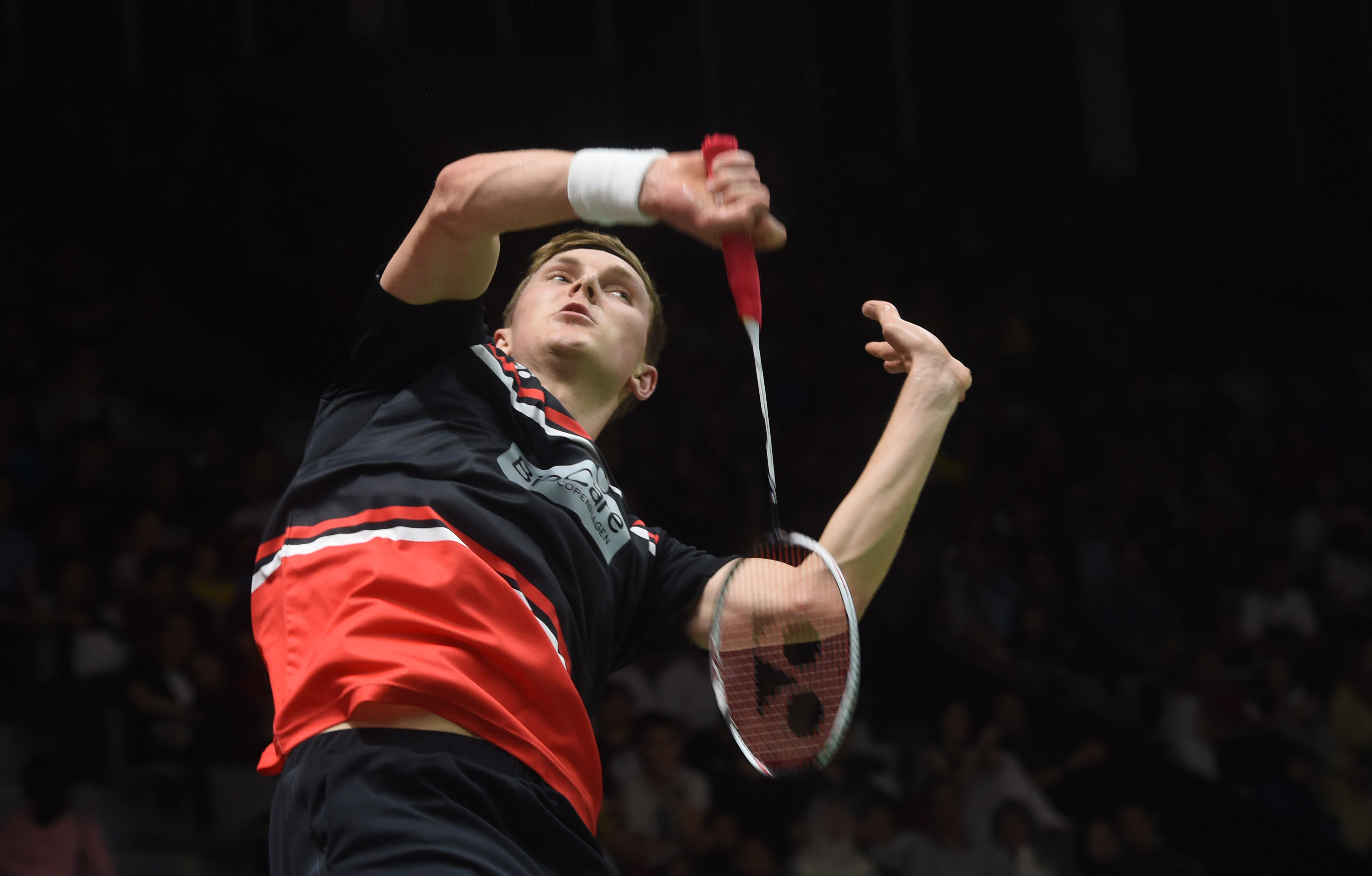 无疑为这个 无疑为这个